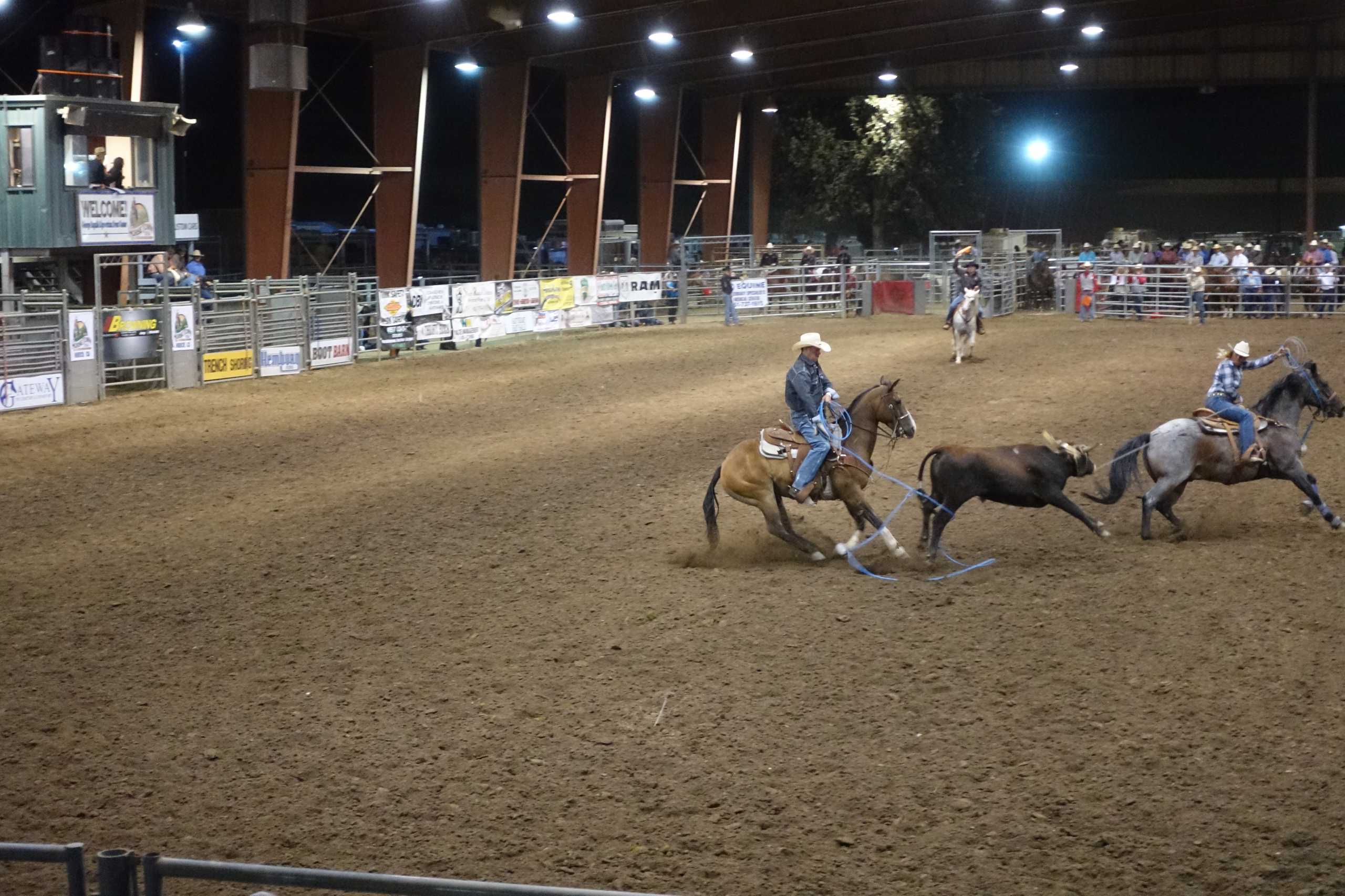 erfolgreiches Team Roping