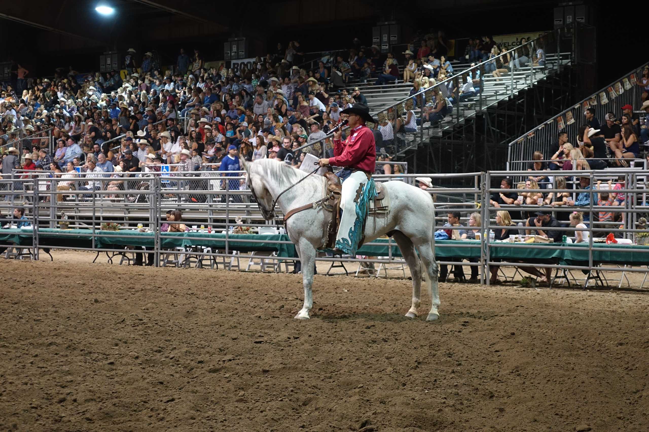 Rodeo Sprecher