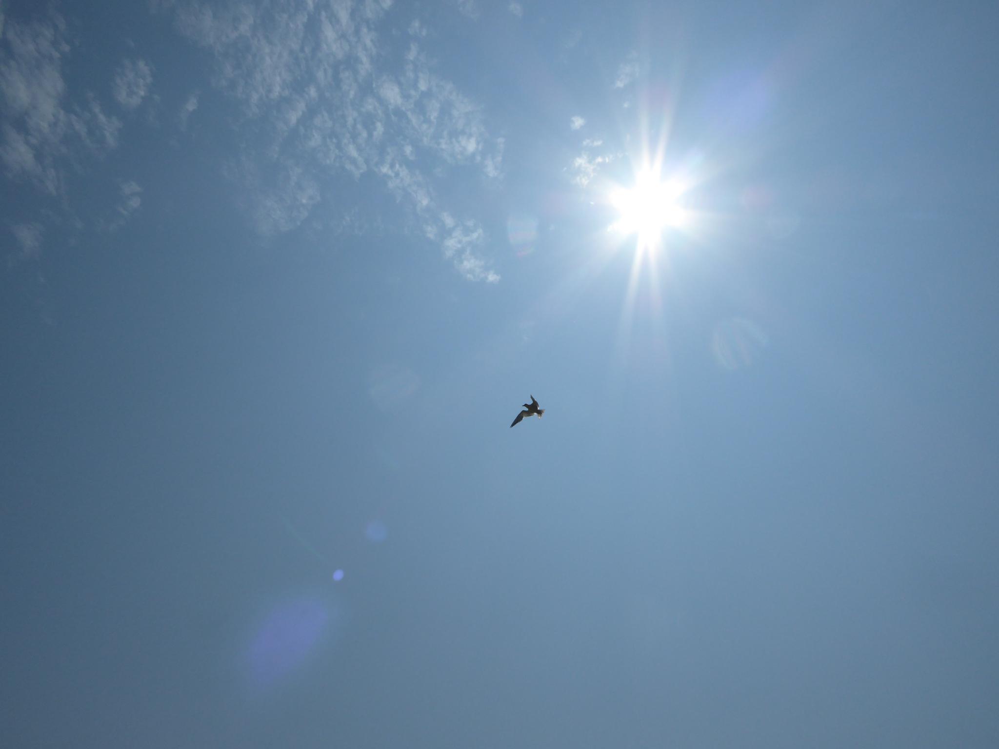 Wolkenloser Himmel