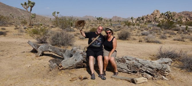 Joshua Tree National Park